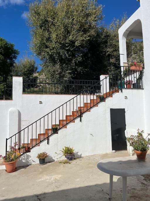 Villa Casa La Fuente Alta Algodonales Exterior foto